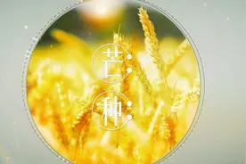双人翻唱《芒种》最洗脑的男女合唱~