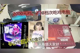 高性能主机竟然只为了这样的游戏？up主吐血推荐！i3 9100＋1060视频封面