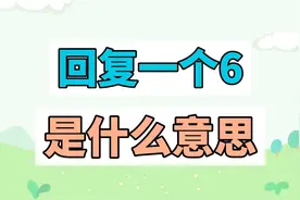 回复一个6是什么意思？