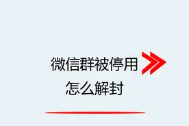 微信群被停用怎么解封