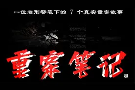 《重案笔记》第一案1.皮箱里的诡异面具，到底是做什么的视频封面
