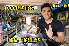 1000多块钱1克的极品“龙涎香”小五花2700块钱买了1公斤，赚翻了视频封面