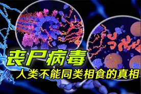 真实存在的“丧尸病毒“，来源竟是同类相食？刻在基因里的禁令视频封面