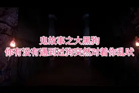 鬼故事之大黑狗，你有没有遇到过狗突然对着你乱吠视频封面
