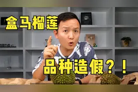 【水果猎人】盒马榴莲品种造假？