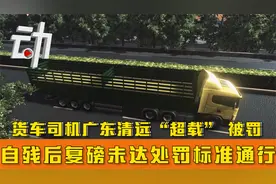 货车司机广东清远“超载” 被罚 自残后复磅未达处罚标准通行视频封面