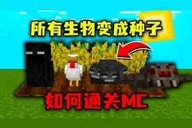 我的世界：生物都变成了种子！可以种植驯服，要如何通关MC？