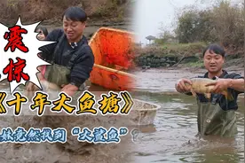 花8千8包下一个十多年没干过的大鱼塘，妹妹还找到了“大鲨鱼”视频封面