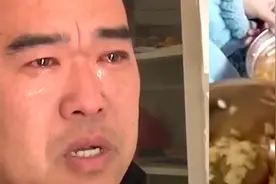 河南封丘通报"营养餐让学生呕吐校长痛哭换不动":多人被立案调查视频封面