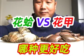 花蛤和花甲有什么不同，您更喜欢哪一种视频封面