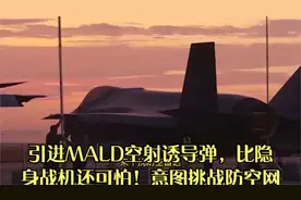 引进MALD空射诱导弹，比隐身战机还可怕！意图挑战防空网