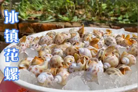 40买来一斤花螺，往冰块上面一扔，开吃那一刻，冰凉爽脆视频封面