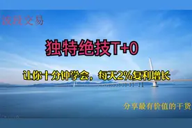 独特的T+0技巧，十分钟教你掌握，让你的利润每天2%的复利增长。视频封面