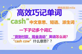 英语学习，cash的中文意思，cash的英文短语，cashier，实用英语
