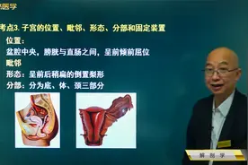 生殖系统02女性生殖系统03子宫：位置、毗邻、分部和固定装置