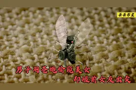 天才男子研究出纳米苍蝇，专利价值千万，但他却用来偷窥