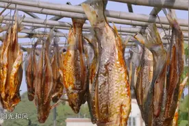 寻味：鲮鱼干顺德特产，顺德人称为最能解乡愁的美食，鲜香无比