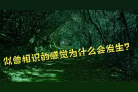 许多人都经历过似曾相识，它为什么会发生？第八种解释细思极恐