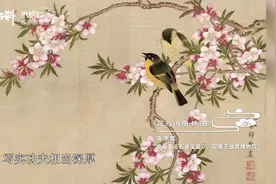 乾隆顶级御用宫廷画师余穉笔下绝美的花鸟草虫，千娇百艳醉煞人视频封面