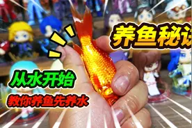 养鱼3年不换鱼的秘诀在于水，养鱼先养水，教你养好水的四种方法视频封面