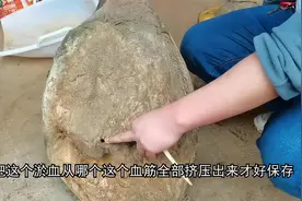 900多天的”大天眼“老火腿，提出来就有一股臭味，小伙大叹可惜视频封面