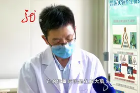 吃了绿色的鸡肉是否会中毒 专家给出答案视频封面