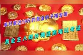单个九公斤的黄金豹子在江苏淮安被发现。宝藏主人却难以确定。