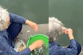 老人坐河边直接拿线穿饵钓鱼，一扔一个准秒获半桶，钓友看后炸锅视频封面
