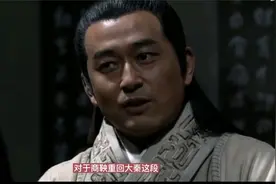 《大秦帝国》的哲理：飓风过岗，伏草惟存，身段愈软，其志愈坚！