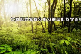 七彩阳光教程分析分解动作教学流畅【转载】