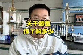 关于鲫鱼，你了解多少呢