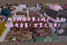 广州“十四涌”水果土特产一条街：有棕色皮香蕉！巴掌大芒果！视频封面