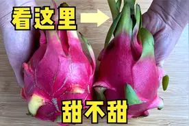 买火龙果，到底挑什么样的才好吃？教你5个挑选窍门，保准买不错