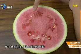 西瓜瓤里的结块白筋，究竟是发育不良还是打了甜蜜素？视频封面