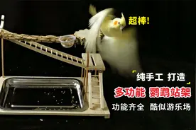 纯手工打造“多功能”鹦鹉站架，功能齐全，堪比游乐场！