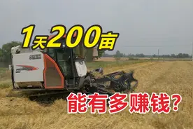 1天200亩！久保田收割机收小麦，一天赚多少？老板娘给你算笔账视频封面