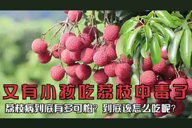 又有小孩吃荔枝中毒了，荔枝病到底有多可怕？到底该怎么吃呢？视频封面