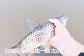 小伙一小时钓3条鱼，钓回来养几天都不会死，他有什么绝招？视频封面