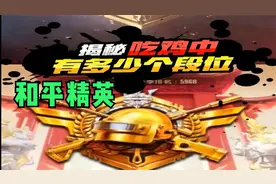 分享和平精英全部段位排序，谁不是一步步上去的，你在什么段位？