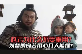 细品：赵云为什么不受重用？刘备的良苦用心几人能懂？