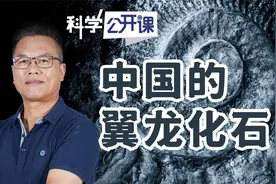 汪筱林：中国的翼龙化石【中科院科学公开课】视频封面