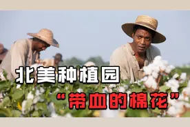 19世纪，黑人沦为奴隶，被北美种植园逼着种棉花，真实事件改编