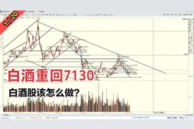 白酒板块持续反弹，重回7130点，白酒股怎么做？视频封面