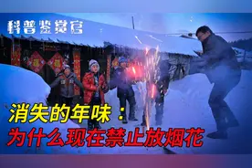 为什么现在不能燃放烟花？禁放烟花是谁提出的？看完恍然大悟！视频封面