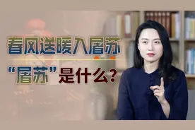 名诗“春风送暖入屠苏”，屠苏真的是酒吗？另一个答案更形象