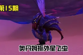 魔兽世界：去奥丹姆抓骆驼和特色巨蜂