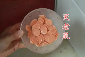 灭老鼠别用药，只需一个简单方法，轻松消灭老鼠，安全又好用视频封面