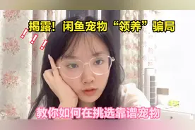 揭露！闲鱼宠物“领养”骗局，一个套路十年不嫌旧！视频封面