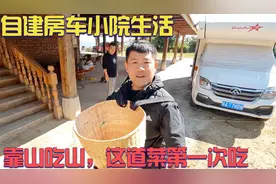 自建房车小院生活，靠山吃山自己动手上山采摘，这道菜第一次吃到视频封面