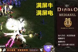 暗黑破坏神电疗圣骑士，暴力刷牛场，小号就这么猛的嘛